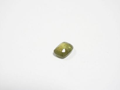 SAPHIR on leaf. 6.79 ct (treated).