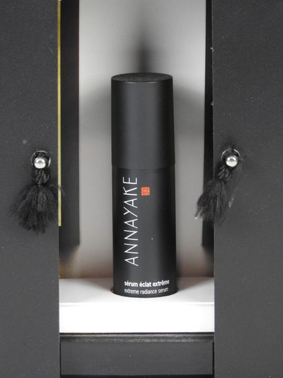 ANNAYAKE. Coffret de présentation d'un produit...