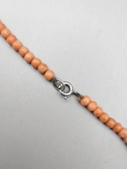 COLLIER ras de cou en billes de corail en...