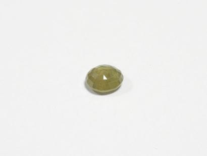 SAPHIR on leaf. 5.75 ct (treated).