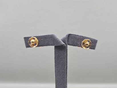 Paire de clous d'oreille à motifs floral...
