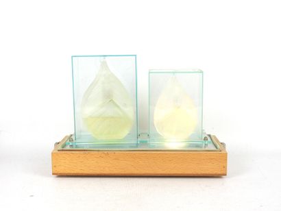 KENZO. Valise de présentation de parfums....
