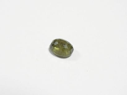 SAPHIR on leaf. 6.35 ct (treated).