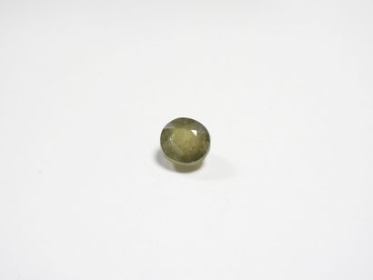 SAPHIR on leaf. 9.96 ct (treated).