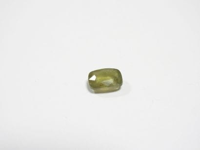 SAPHIR on leaf. 6.79 ct (treated).