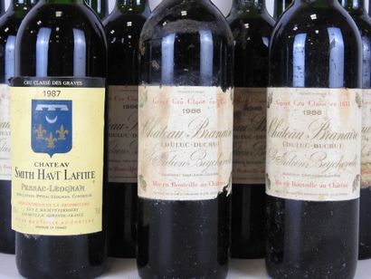 12 bouteilles : 11 bouteilles Chateau Branaire...