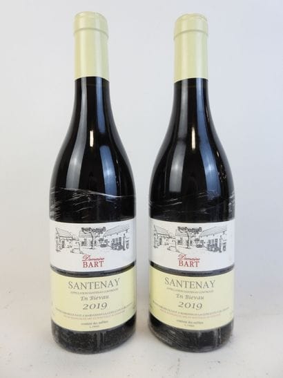 2 bouteilles SANTENAY, En Bievau, 2019, Domaine...