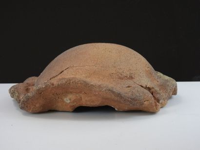 Bernard DEJONGHE (born 1942)
Turtle shell,...