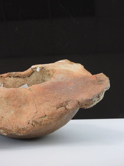 Bernard DEJONGHE (born 1942)
Turtle shell,...