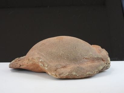 Bernard DEJONGHE (born 1942)
Turtle shell,...