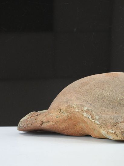 Bernard DEJONGHE (born 1942)
Turtle shell,...
