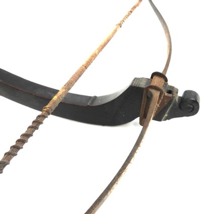 ARME de JET. Arbalète de tir à arbrier en...