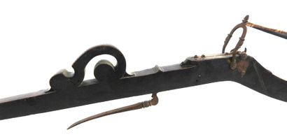 ARME de JET. Arbalète de tir à arbrier en...
