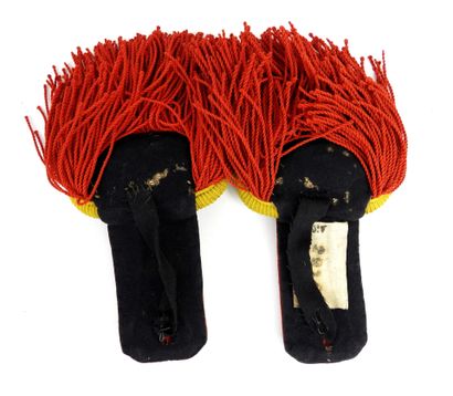 EQUIPMENT. Pair of Imperial Guard voltigeur...