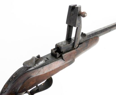 ARMES à FEU. Pistolet de tir système WARNANT...