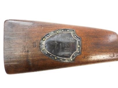 FIREARMS. Model 1817 