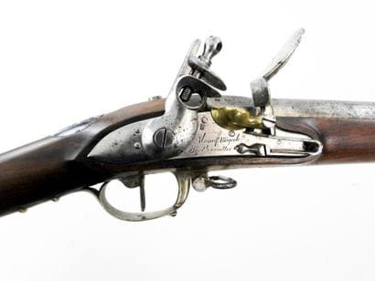 FIREARMS. Model 1817 