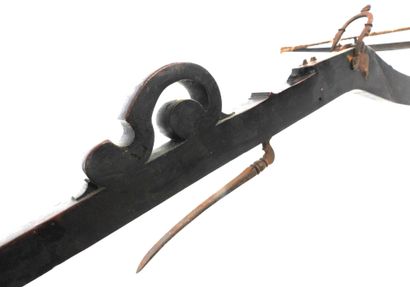 ARME de JET. Arbalète de tir à arbrier en...