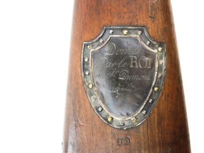 FIREARMS. Model 1817 