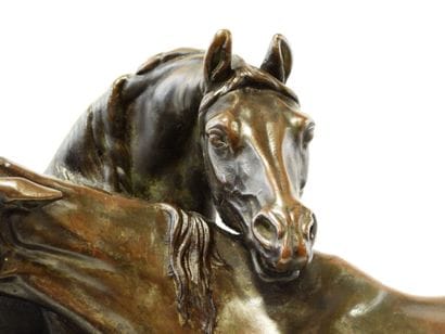 Pierre-Jules MENE (1810-1879)
Accolade de...
