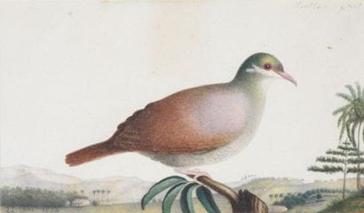 Antoine Charles VAUTHIER (1790–1879)
Dove...