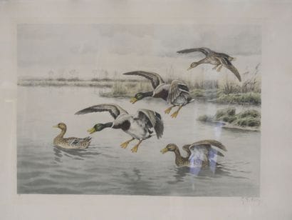 Georges Frédéric ROTIG (1873–1961)
A Pair...