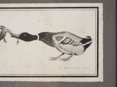 Paul MARCUEYZ (1877–1952), after
Mallards...