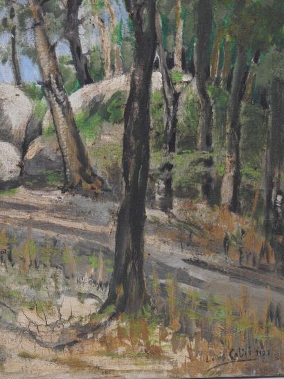 Louis CABIER (1853-1939)
Sous-bois aux rochers
Huile...