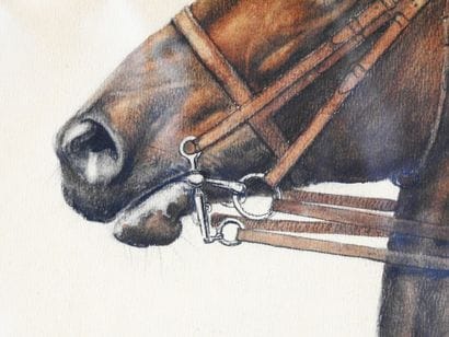 Léon DANCHIN (1887–1938)
Horse’s Head in...