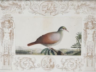 Antoine Charles VAUTHIER (1790–1879)
Dove...