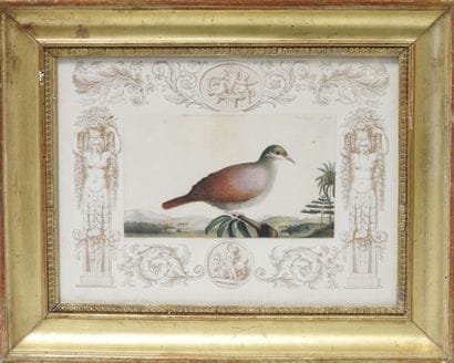 Antoine Charles VAUTHIER (1790–1879)
Dove...