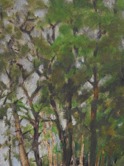 Louis CABIER (1853-1939)
Sous-bois aux rochers
Huile...