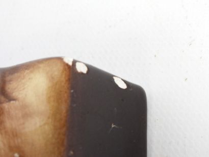 SAINTE-RADEGONDE - A group of brown and cream...