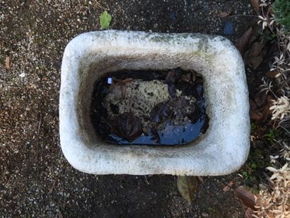SMALL stone trough. 23 x 52 x 39 cm.