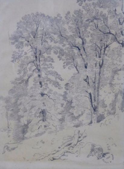 Armand POINT (1860-1932): Arbres dans la...