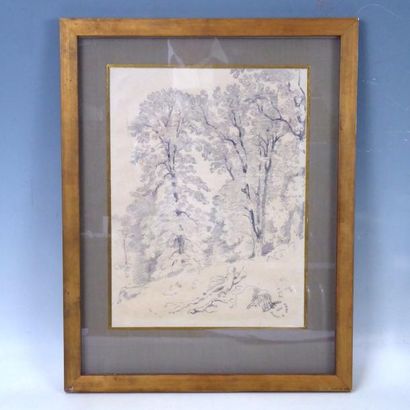 Armand POINT (1860-1932): Arbres dans la...