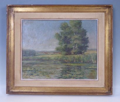 Paysage près d'une rivière. Huile sur toile....
