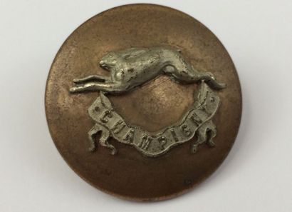 O. Un bouton. Champigny. Monsieur Belgrand....