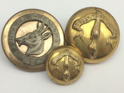 Oo O. Paire de boutons et un bouton, 2 modèles....