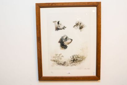 LE MESLE Hervé (1955)
