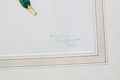 WINSSINGER Véronique
