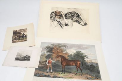 Lot de quatre estampes animalières dont une...
