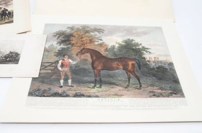 Lot de quatre estampes animalières dont une...