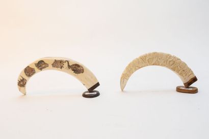 Deux petites défenses, la première sculptée,...