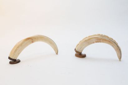 Deux petites défenses, la première sculptée,...