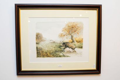 LE MESLE Hervé (1955)
