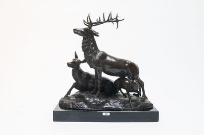 MENE Pierre-Jules (1810-1879)
