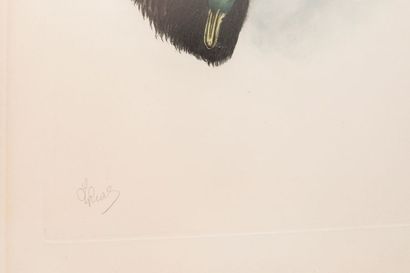RIAB, RIABOUCHINE Boris dit (1898-1975)
