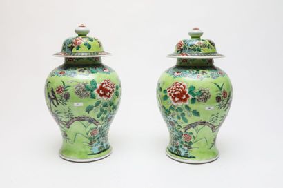 CHINE
Paire de potiches à décor naturaliste...