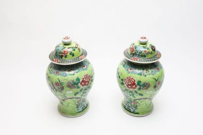 CHINE
Paire de potiches à décor naturaliste...